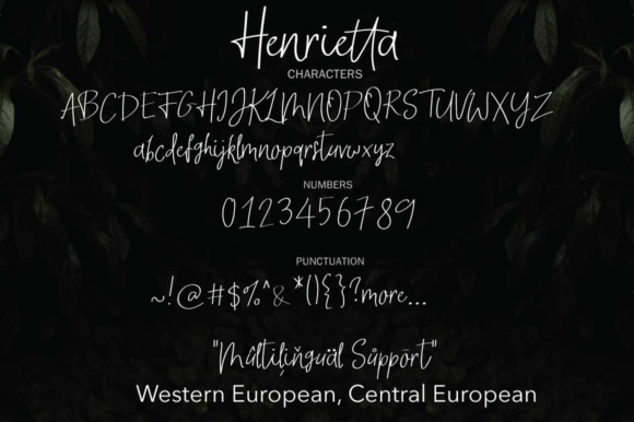 Henrietta Font - Preview 5