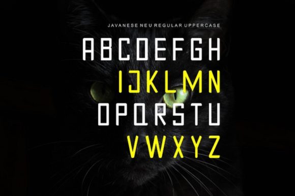 Javanese Neu Font PNG with transparent background - Preview 1