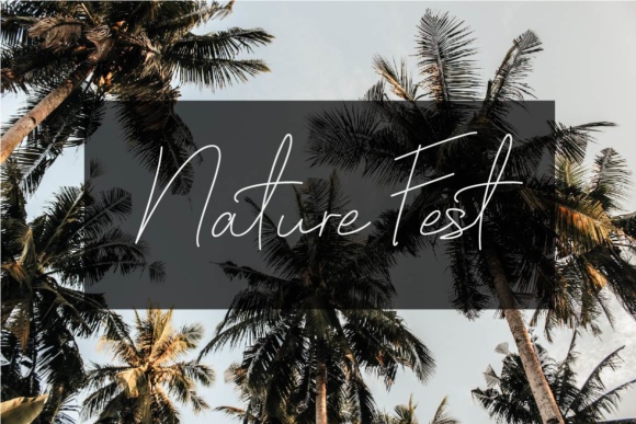 Koala Script Font PNG with transparent background - Preview 1