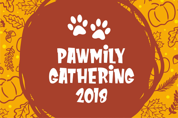 Meowza Font PNG with transparent background - Preview 2