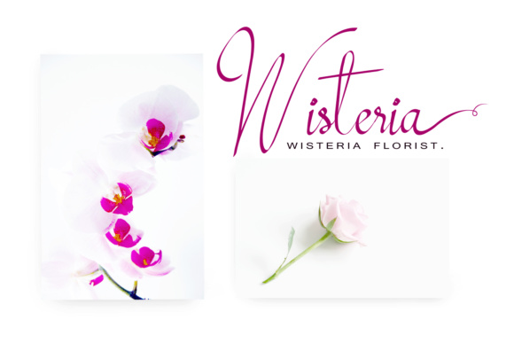 Mollucash Font PNG with transparent background - Preview 3