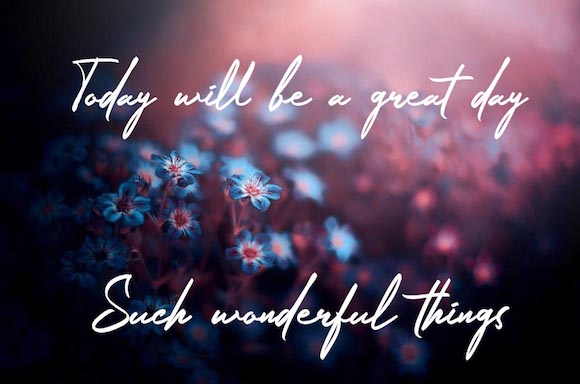 Nerty Font PNG with transparent background - Preview 1