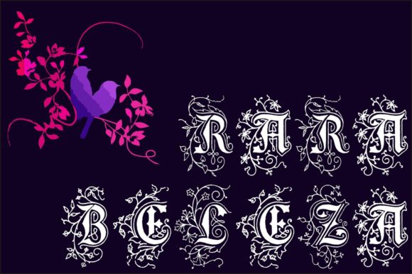 Rara Beleza Font PNG with transparent background - Preview 1