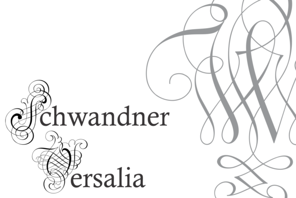 Schwandner Versalia Font PNG with transparent background - Preview 4