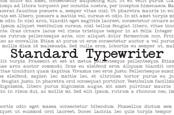 Standard Typewriter Font by Intellecta Design preview