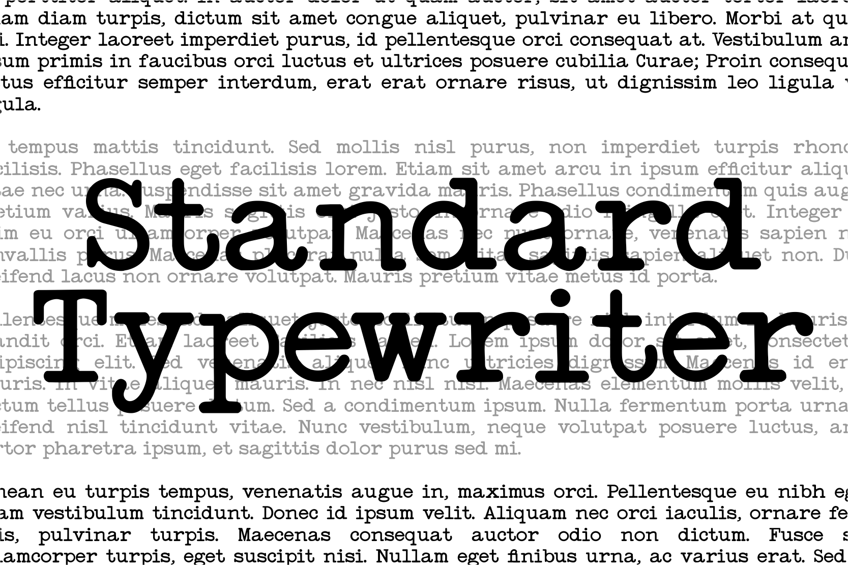 Standard preview, placeholder image