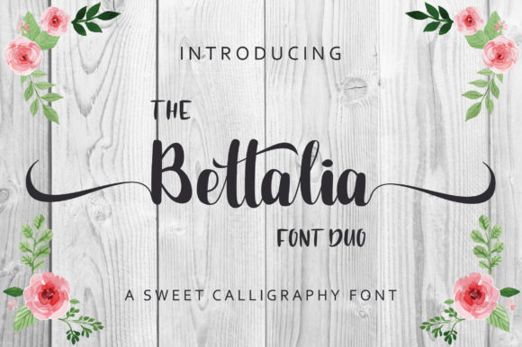 The Bargain Script Bundle V14 Bundle · Creative Fabrica
