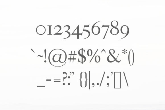 Adallyn Family Font - Preview 2