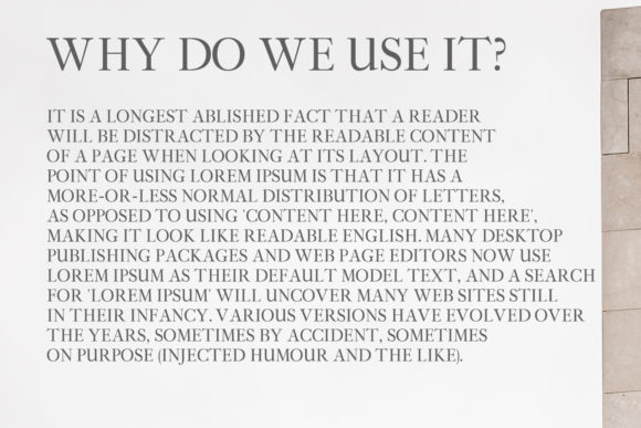 Adallyn Family Font - Preview 3
