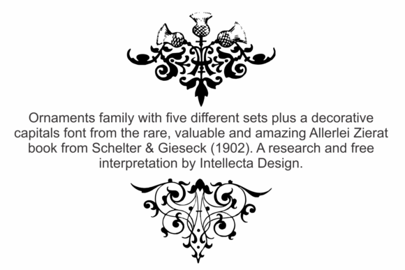 Allerlei Zierat Family Font - Preview 2