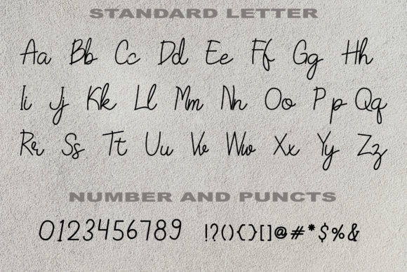 Aqila Font - Preview 4