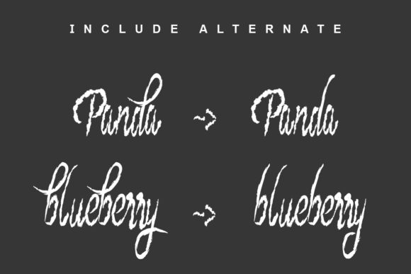 Blueberry Brush Font - Preview 4