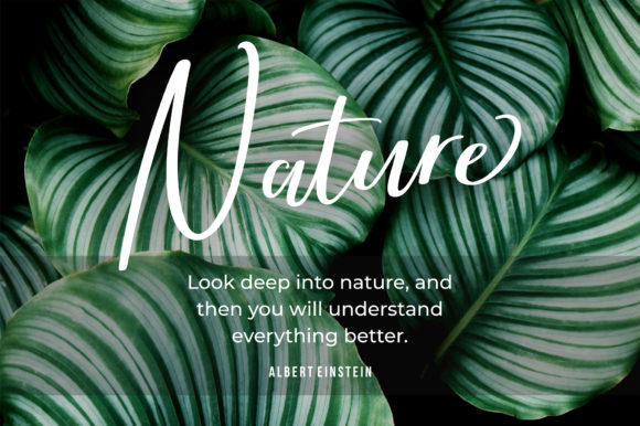 Brightish Font - Preview 3