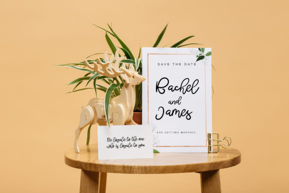 Butterfly Script Font - Preview 2