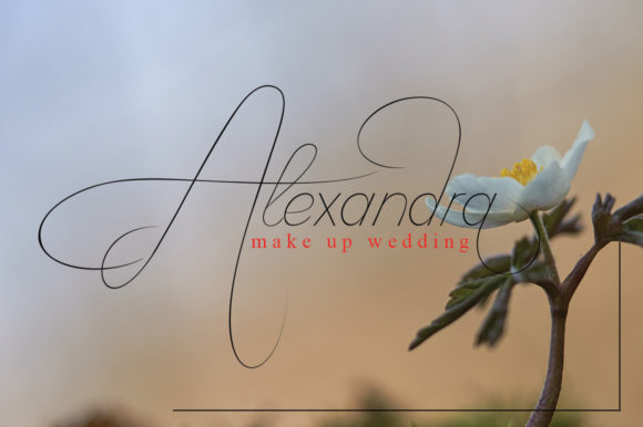 Camelia Script Font - Preview 2
