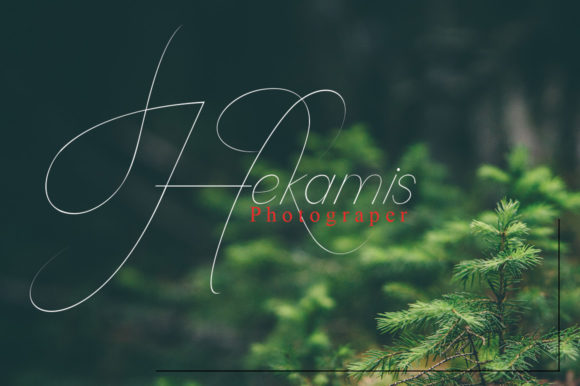 Camelia Script Font - Preview 3