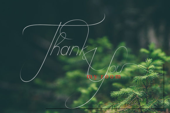 Camelia Script Font - Preview 5