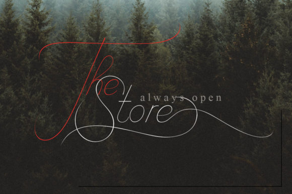 Camelia Script Font - Preview 6