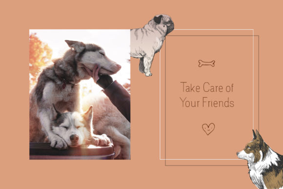 Camilie Family Font - Preview 6