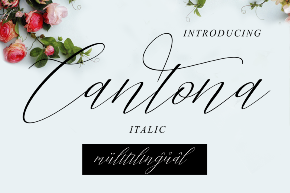 Cantona Font - Preview 1