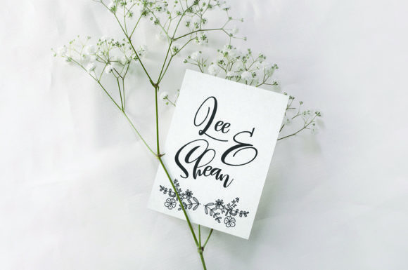 Carolyne Font - Preview 5