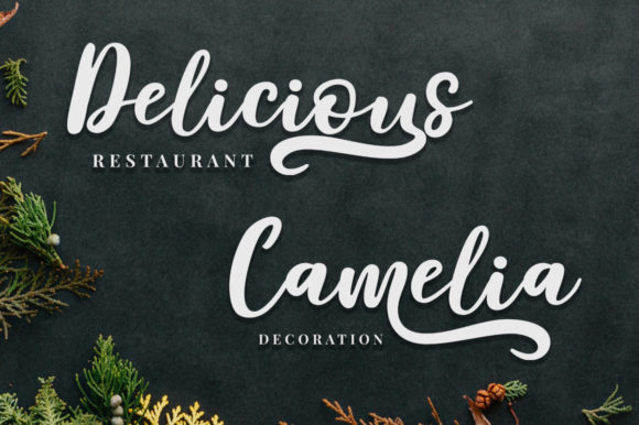 Delaras Font - Preview 1