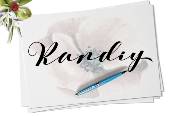 Delissa Font - Preview 3