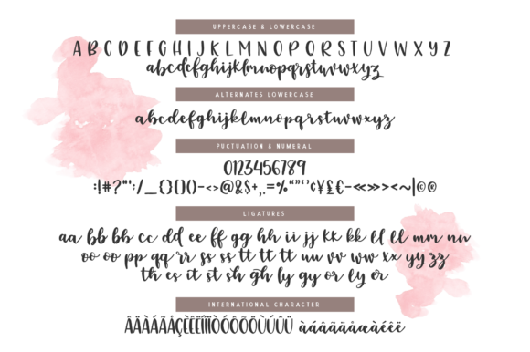 Emylia Script Font - Preview 1