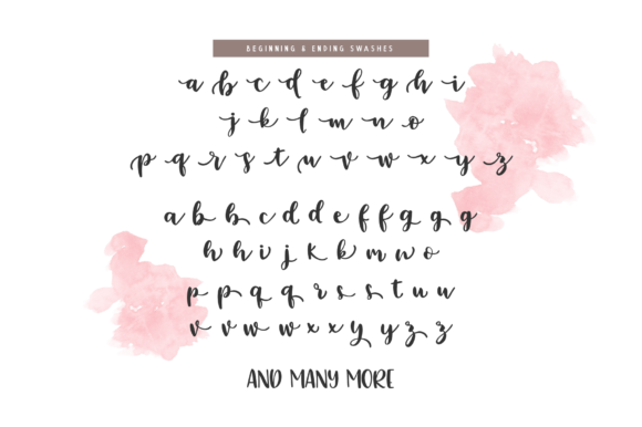 Emylia Script Font - Preview 2