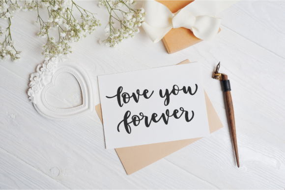Emylia Script Font - Preview 3