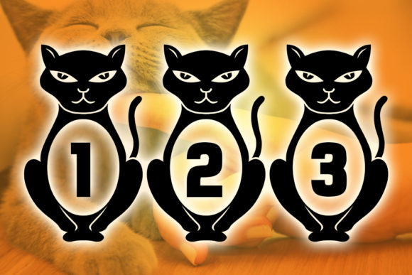 Kitties Font PNG with transparent background - Preview 2