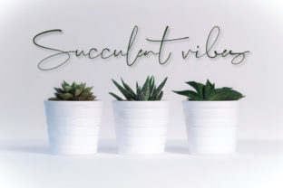 Cursive Lighthouse Lighthouse Script Font by Digital Hustler · Creative Fabrica