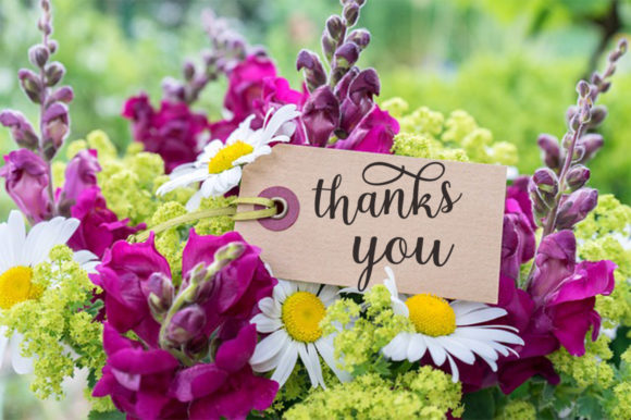 Medicago Font PNG with transparent background - Preview 6