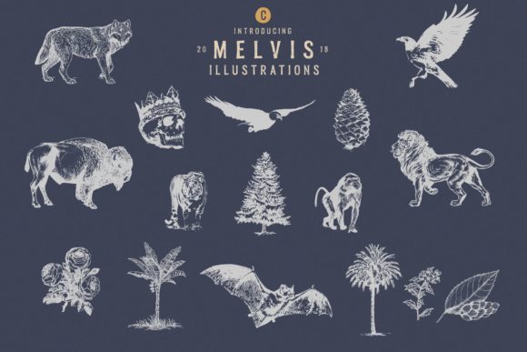 Melvis Family Font PNG with transparent background - Preview 4