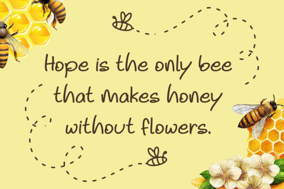 Noela Sherly Font PNG with transparent background - Preview 2