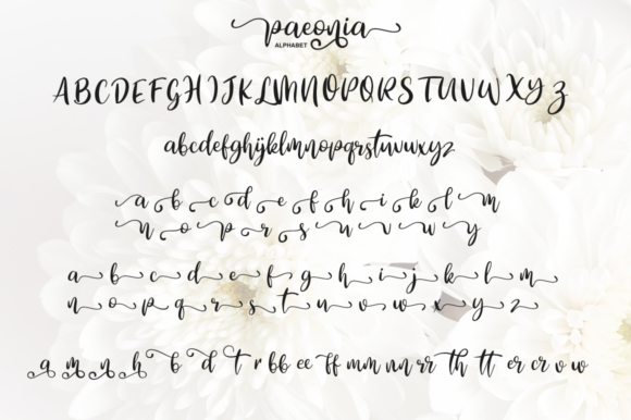 Paeonia Font PNG with transparent background - Preview 6