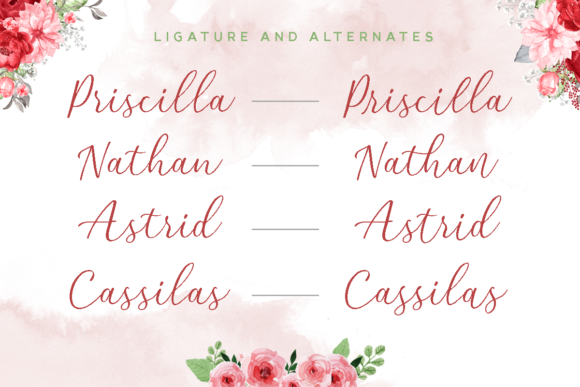 Red Camellia Font PNG with transparent background - Preview 1