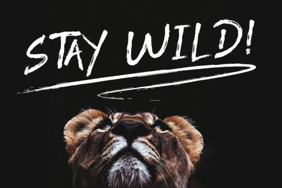 Roody Last Font PNG with transparent background - Preview 3