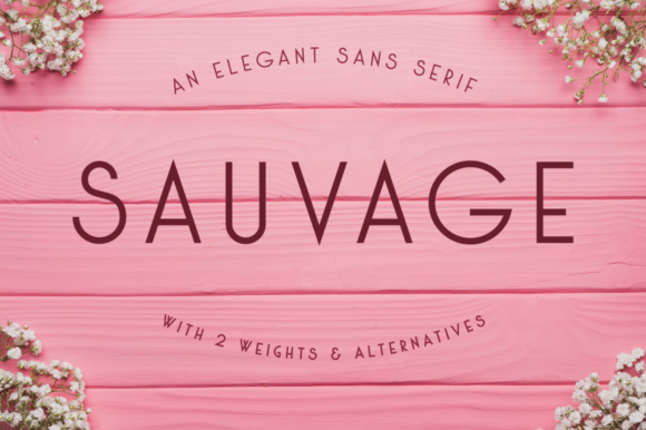 Sauvage font
