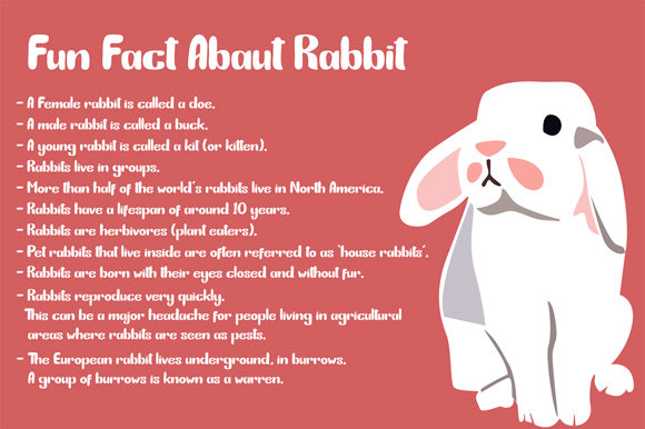 Bunny Funny Font - Preview 1