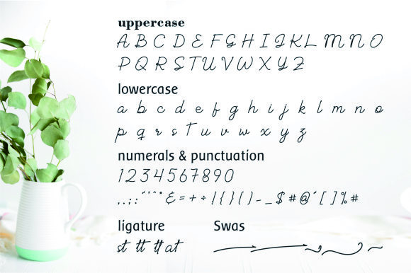 Albelia Script Font - Preview 1