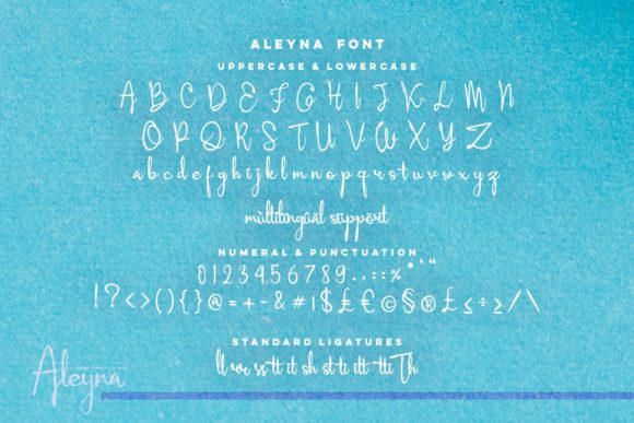 Aleyna Font - Preview 3