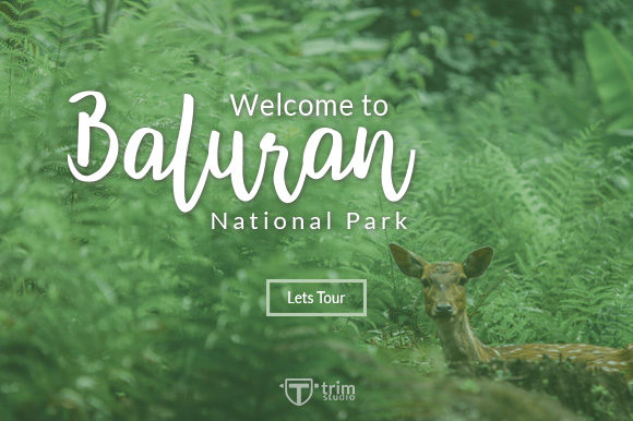 Andaman Font - Preview 1