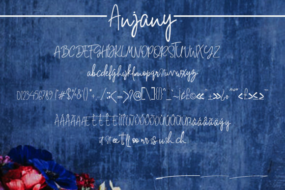 Anjany Font - Preview 5