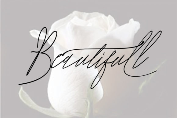 Annitha Font - Preview 2