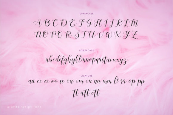Arietta Font - Preview 1