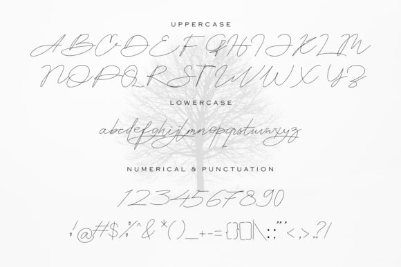 Astina Font - Preview 1