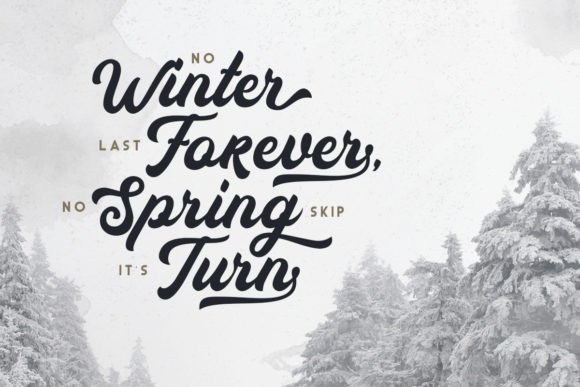 Auckland Script Font - Preview 6