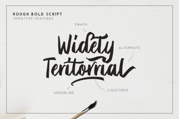 Briberra Script Font - Preview 1