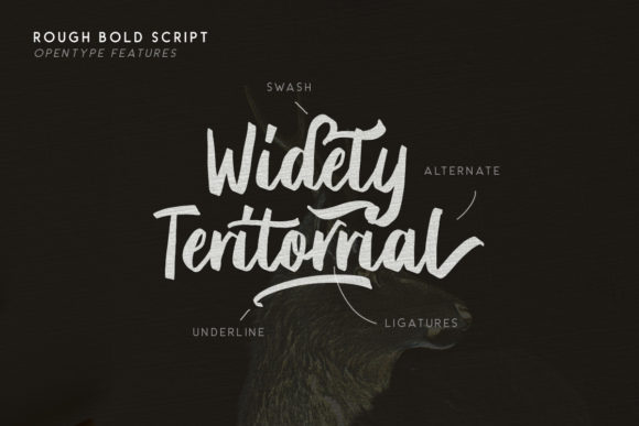 Briberra Script Font - Preview 2